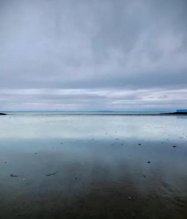 the horizon